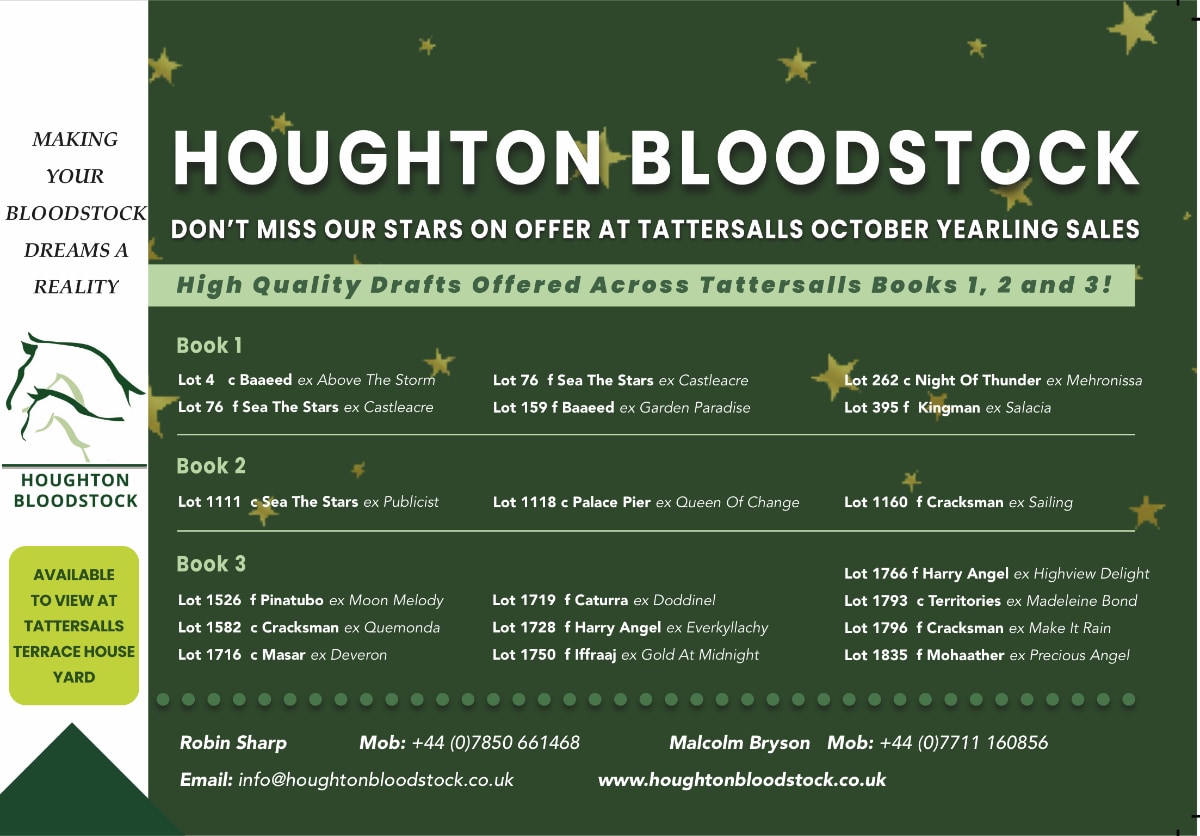 Houghton Bloodstock Tattersalls 2025