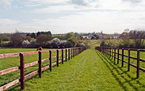 Houghton Bloodstock Hundon