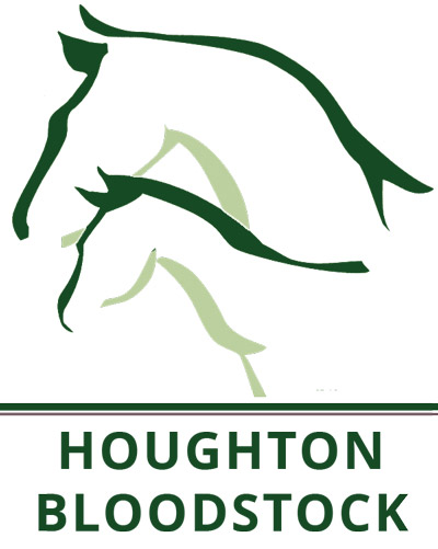 Houghton Bloodstock logo