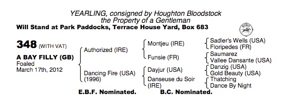 Lot 348 - Authorized (IRE) / Dancing Fire (USA) B.F.