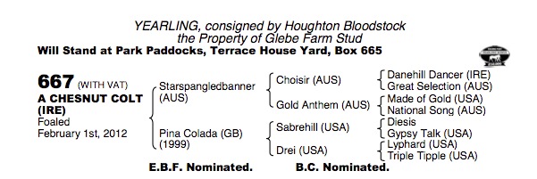 LOT 667 - Starspangledbanner (AUS) / Pina Colada (GB) Ch.C.

