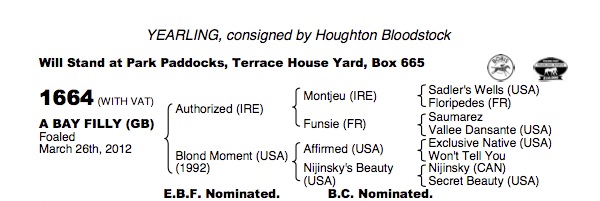 LOT 1664 - Authorized (IRE) / Blond Moment (USA) B.F.