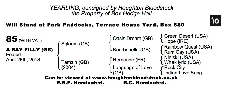 Lot 85 - Aqlaam (GB) / Tamzin (GB) B.F. 