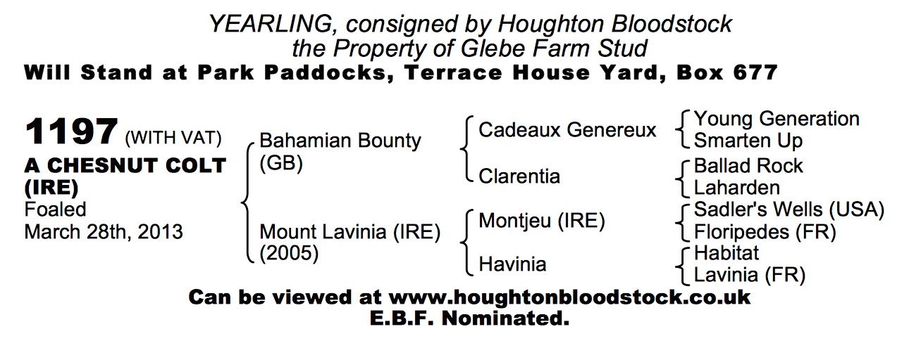 Bahamian Bounty (GB) / Mount Lavinia (IRE) Ch.C.