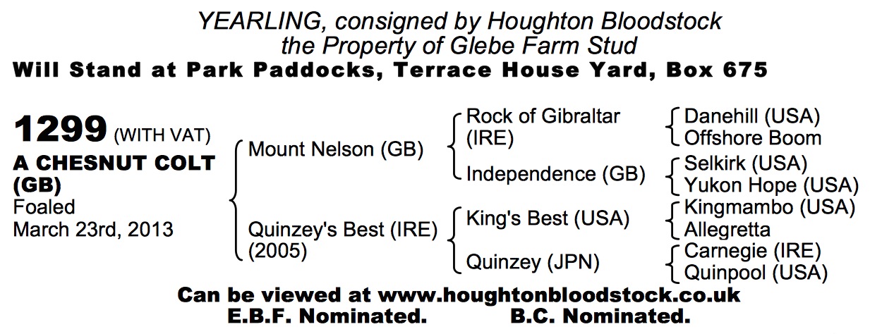 Mount Nelson (GB) / Quinzey's Best (IRE) Ch.C.