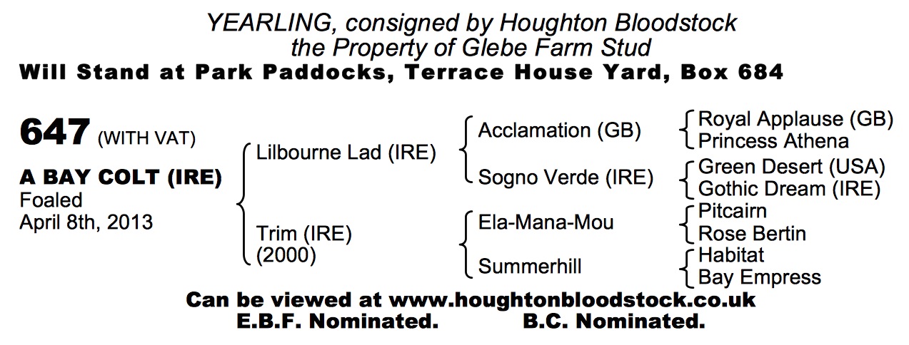 Lilbourne Lad (IRE) / Trim (IRE) B.C.

