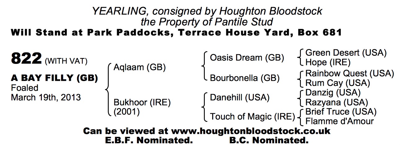 LOT 822 - Aqlaam (GB) / Bukhoor (IRE) B.F.
