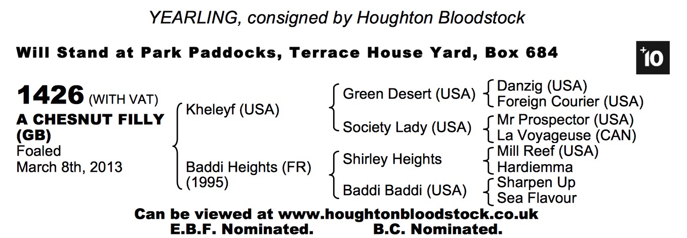 LOT 1426 - Kheleyf (USA) / Baddi Heights (FR) Ch.F.