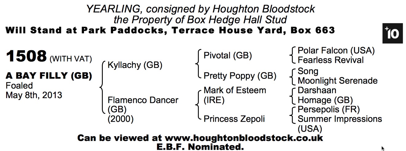 LOT 1508 - Kyllachy (GB) / Flamenco Dancer (GB) B.F.