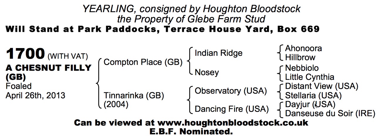 LOT 1700 - Compton Place (GB) / Tinnarinka (GB) Ch.F.