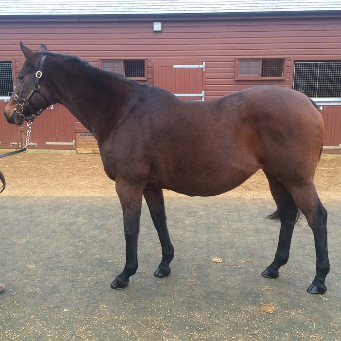 LOT 2078