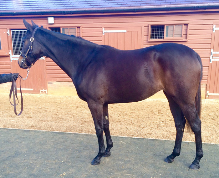 lot164