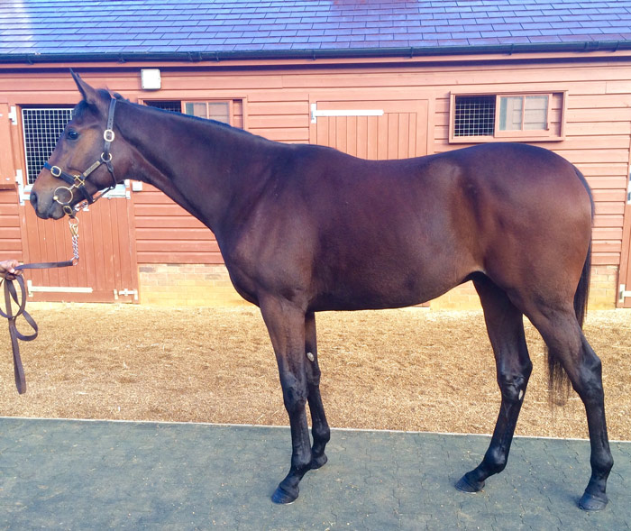 Lot 165