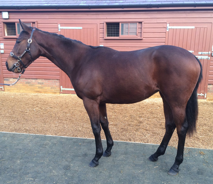 Lot 18