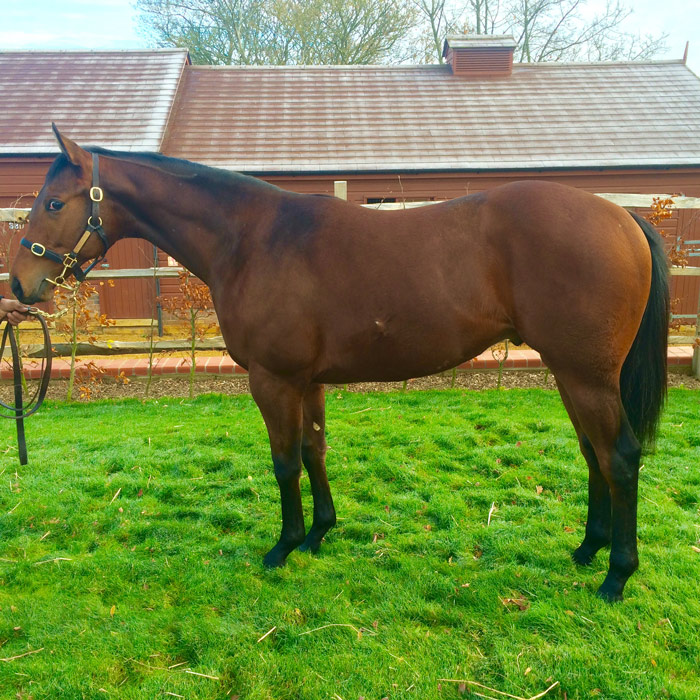 lot53