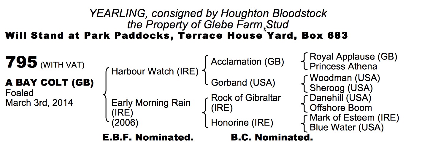 LOT 795 - Harbour Watch (IRE) / Early Morning Rain (IRE) B.C.