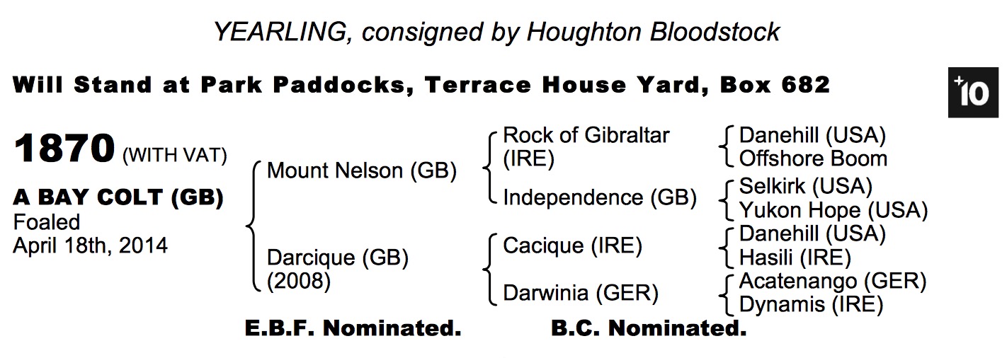 LOT 1870 - Mount Nelson (GB) / Darcique (GB) B.C.