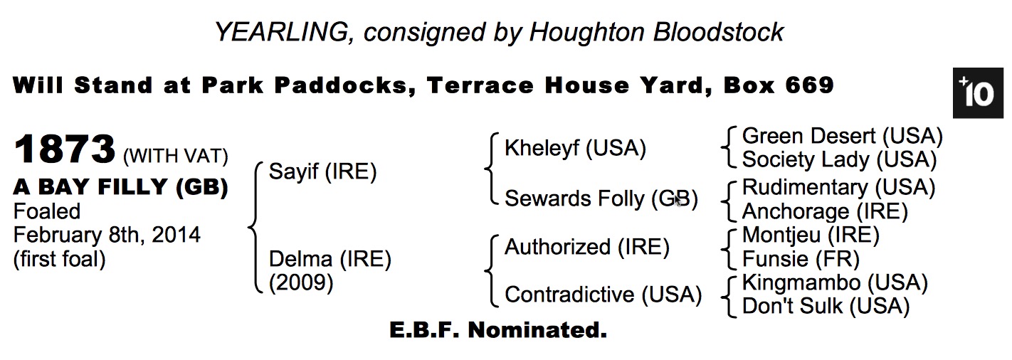LOT 1873 - Sayif (IRE) / Delma (IRE) B.F.