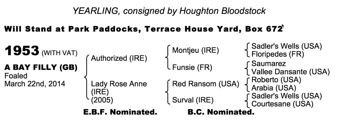LOT 1953 - Authorized (IRE) / Lady Rose Anne (IRE) B.F.