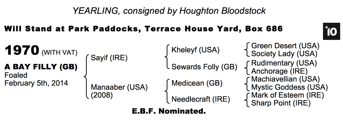 LOT 1970 - Sayif (IRE) / Manaaber (USA) B.F.