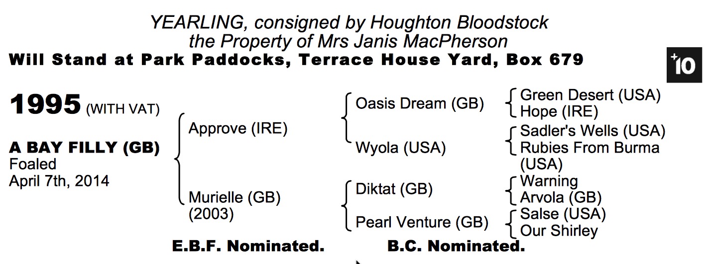 LOT 1995 - Approve (IRE) / Murielle (GB) B.F.