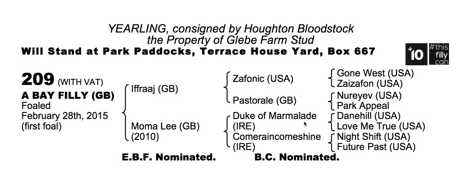 Lot 209 - Iffraaj (GB) / Moma Lee (GB) B.F.