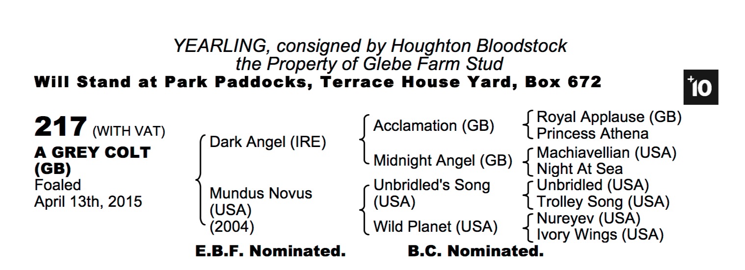 Lot 217 - Dark Angel (IRE) / Mundus Novus (USA) Gr.C.