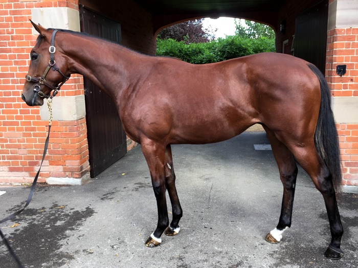 Lot 243 - Poet's Voice (GB) / Palace Affair (GB) B.C. 