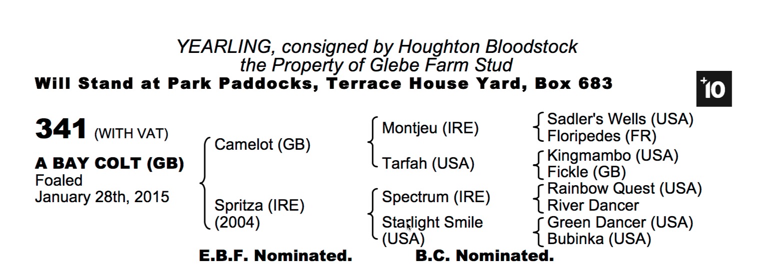 Lot 341 - Camelot (GB) / Spritza (IRE) B.C.