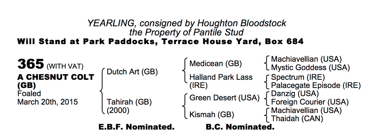 Lot 365 - Dutch Art (GB) / Tahirah (GB) Ch.C.