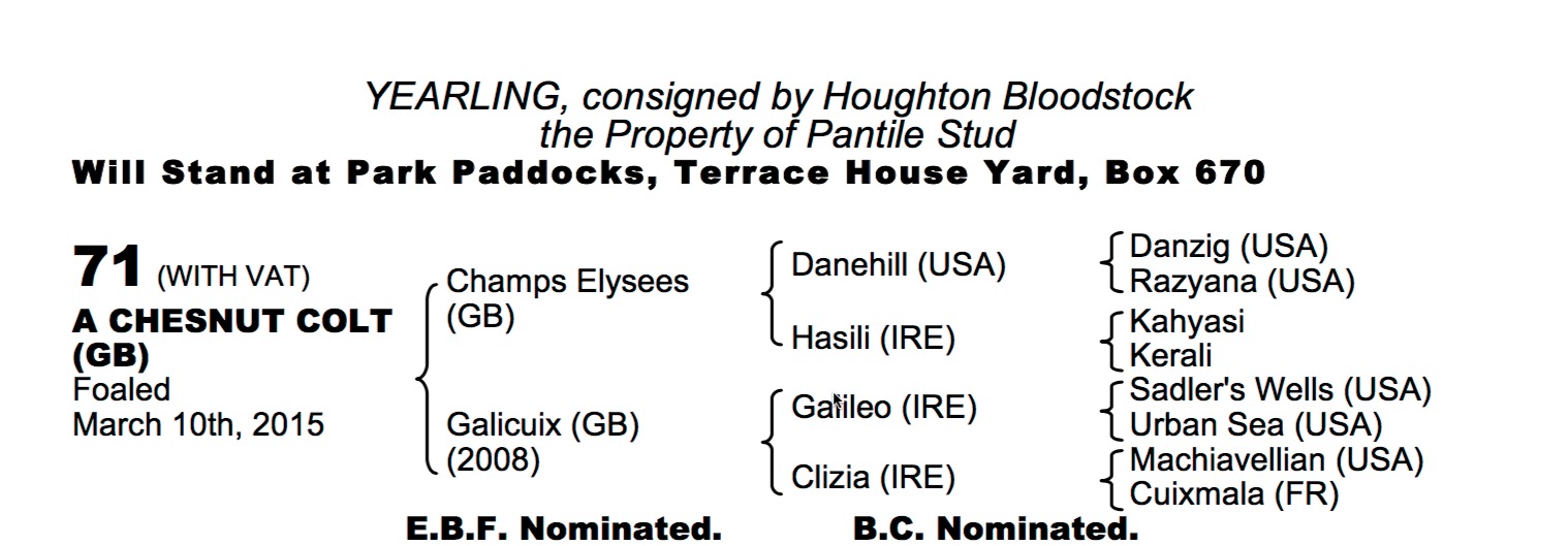 Lot 71 - Champs Elysees (GB) / Galicuix (GB) Ch.C.
