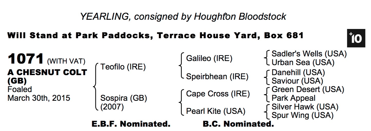 LOT 1071 - Teofilo (IRE) / Sospira (GB) Ch.C.