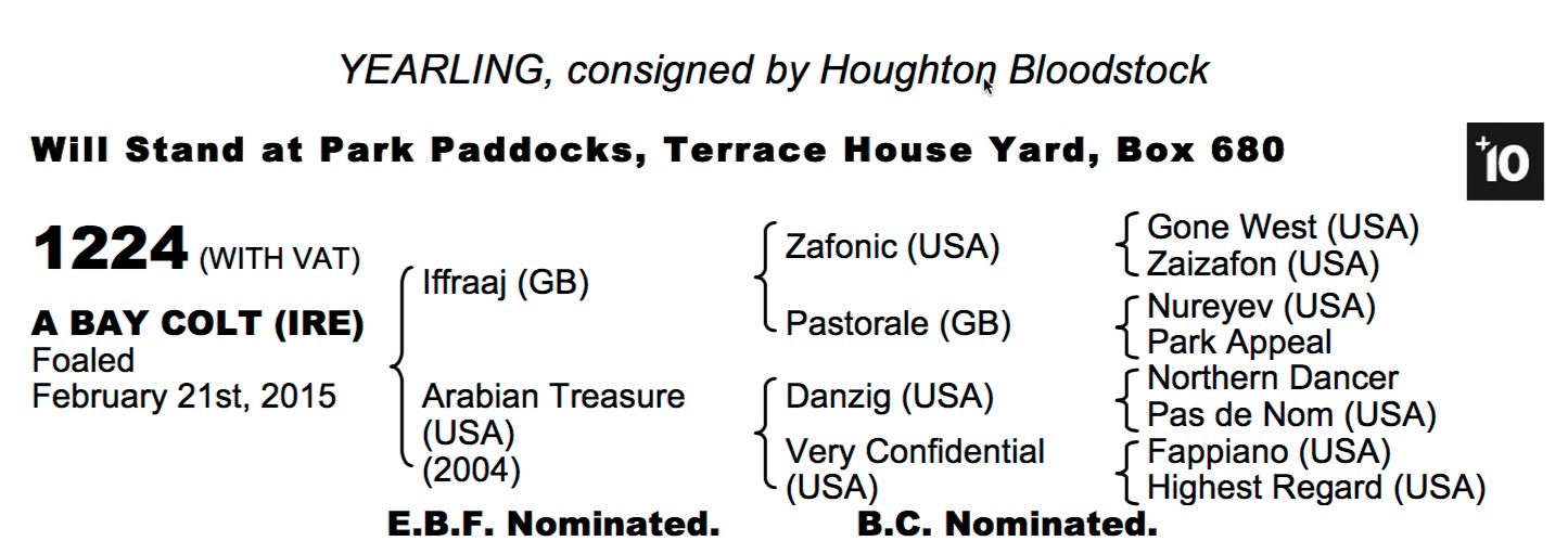 LOT 1224 - Iffraaj (GB) / Arabian Treasure (USA) B.C.