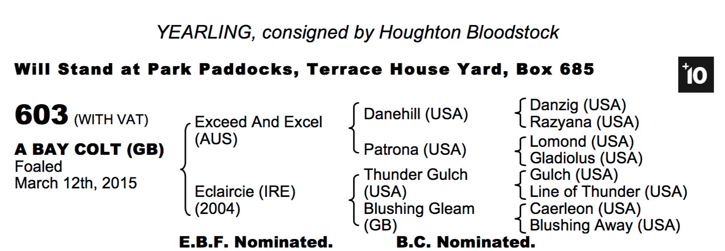 LOT 603 - Exceed And Excel (AUS) / Eclaircie (IRE) B.C.