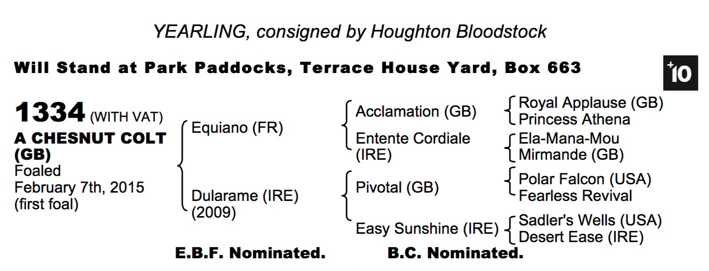 LOT 1334 - Equiano (FR) / Dularame (IRE) Ch.C.