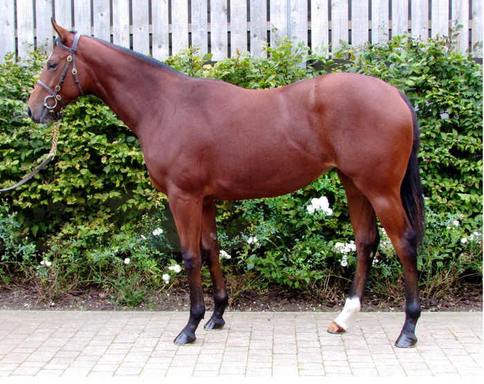 LOT 1438 - Power (GB) / Nancy Spain (IRE) B.F.