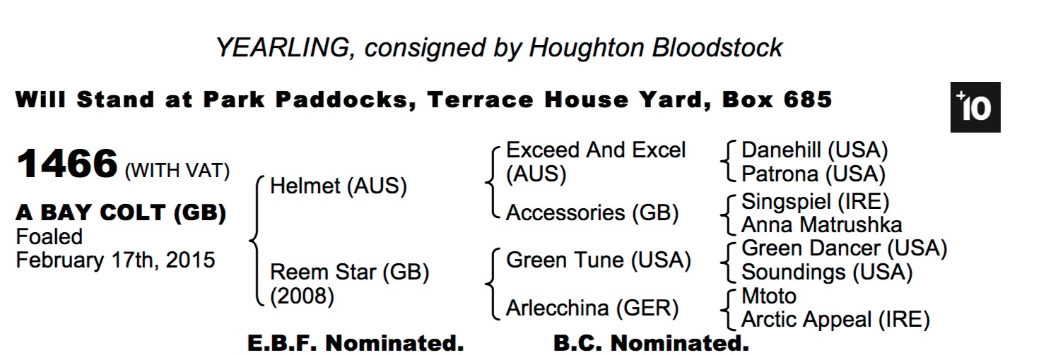 LOT 1466 - Helmet (AUS) / Reem Star (GB) B.C.