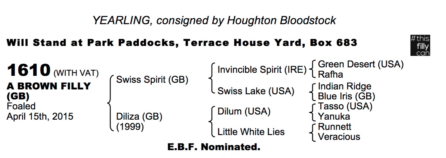 LOT 1610 - Swiss Spirit (GB) / Diliza (GB) Br.F.