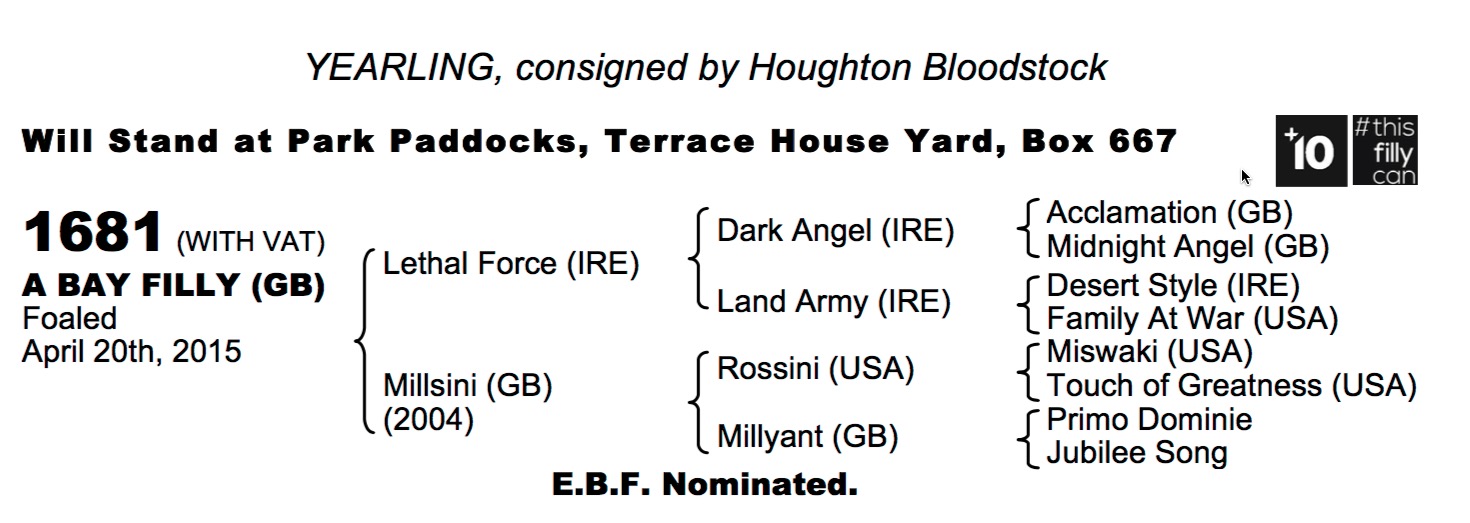 LOT 1681 - Lethal Force (IRE) / Millsini (GB) B.F.