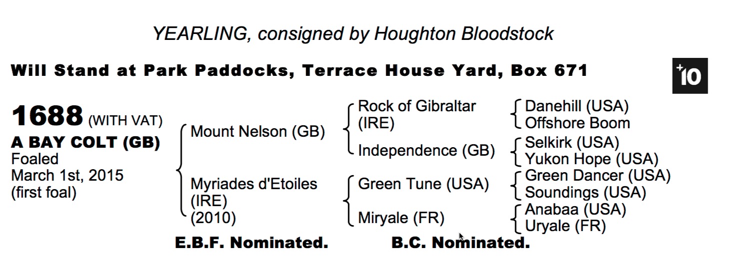 LOT 1688 - Mount Nelson (GB) / Myriades d'Etoiles (IRE) B.C.