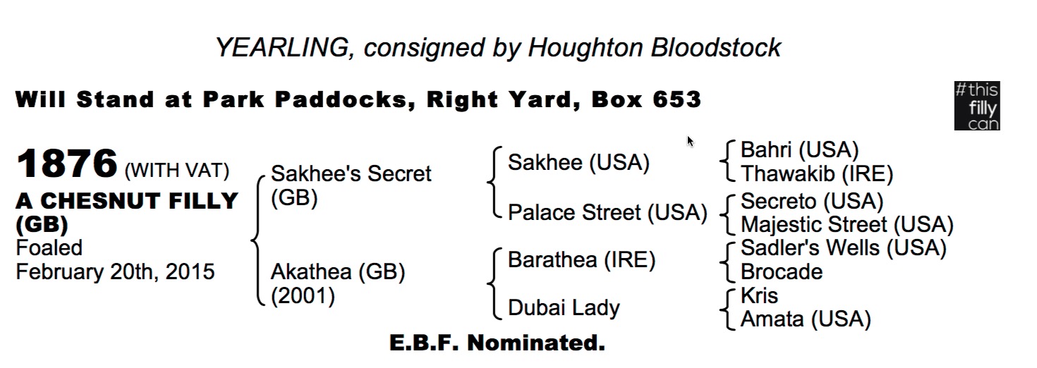 LOT 1876 - Sakhee's Secret (GB) / Akathea (GB) Ch.F.