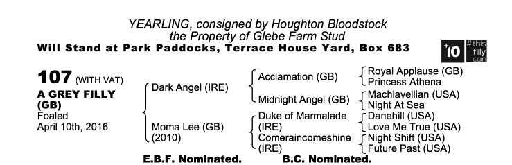 Lot 107 - Dark Angel (IRE) / Moma Lee (GB) Gr.F.