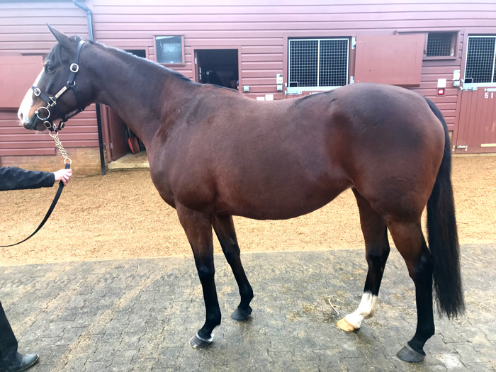 LOT 1630 