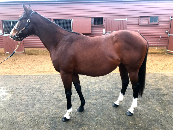 LOT 1664 