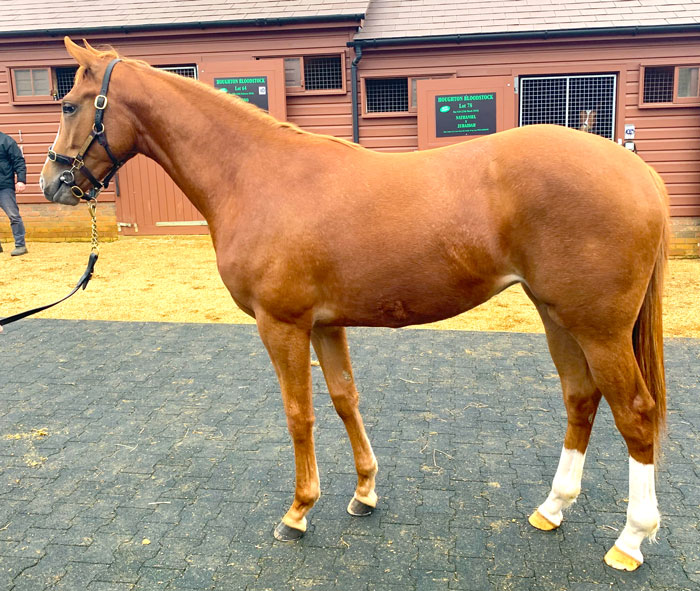 Lot 79