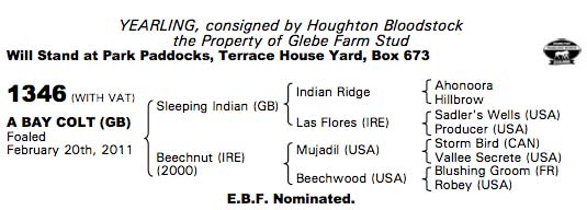 LOT 1346 - Tattersalls sales